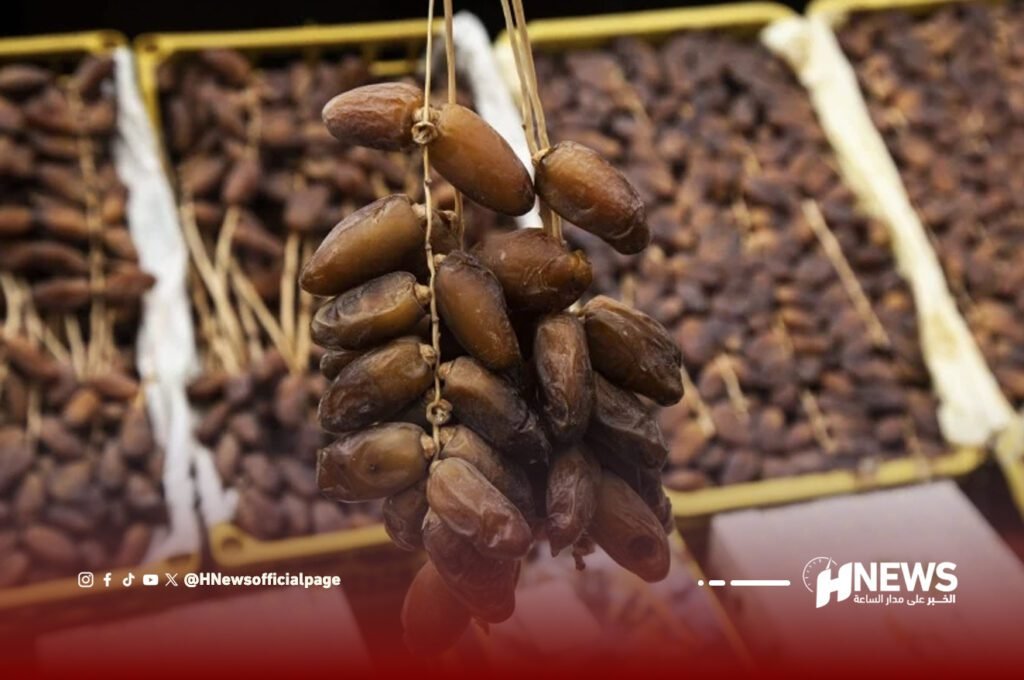 المغرب يستغني عن التمور الجزائرية بفضل إنتاج محلي وفير