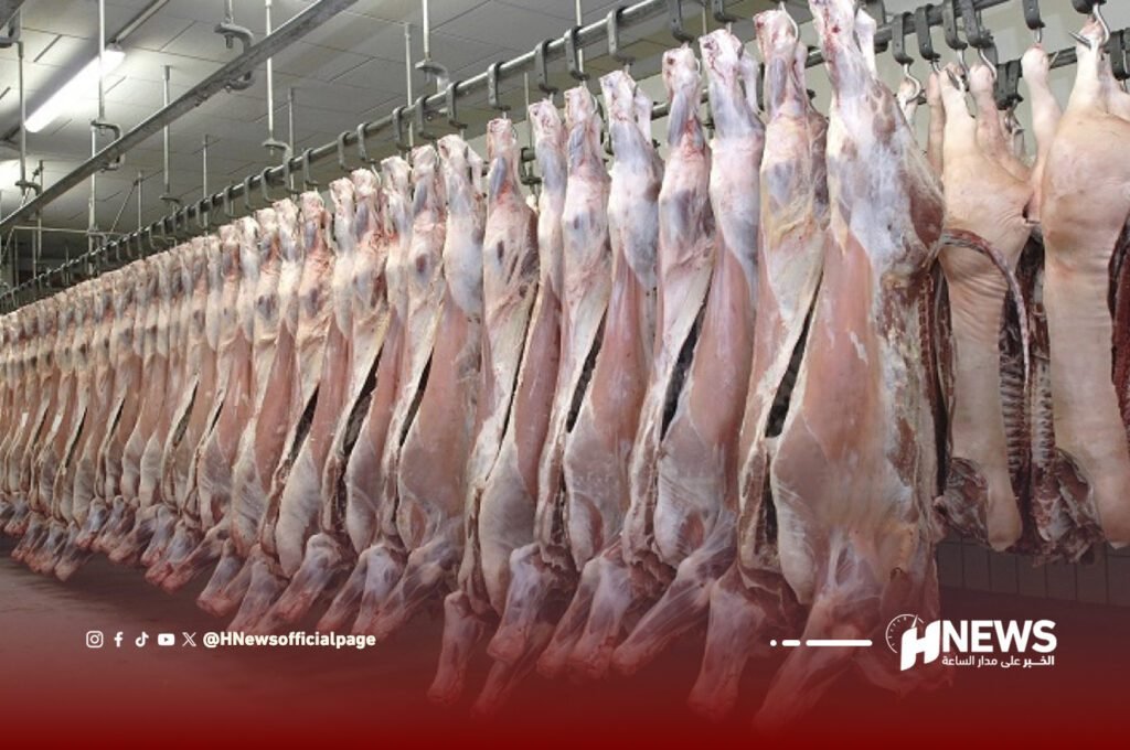 مجازر الدار البيضاء تتجاوز 30 ألف طن من اللحوم الحمراء