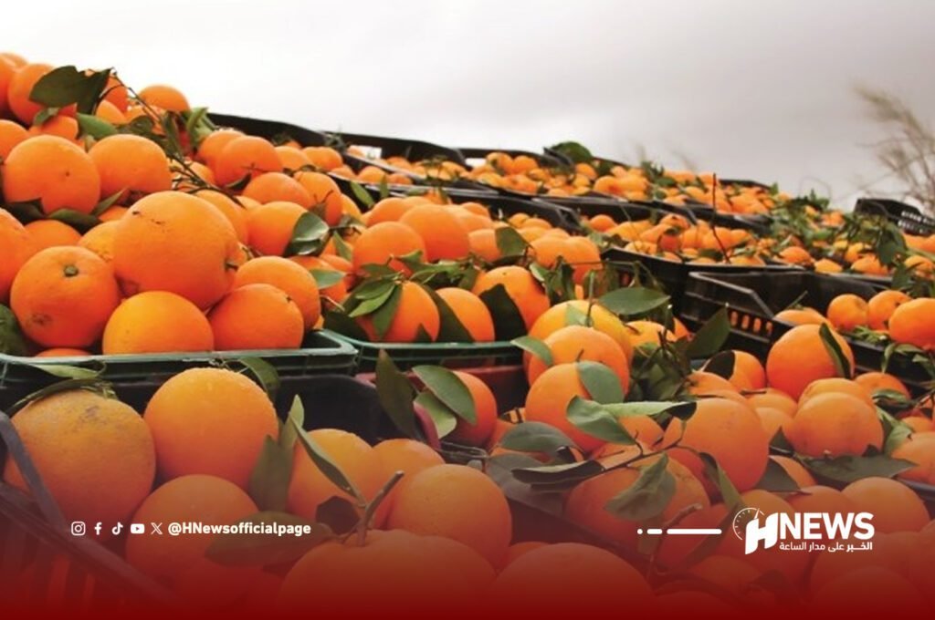 انتاج الحوامض