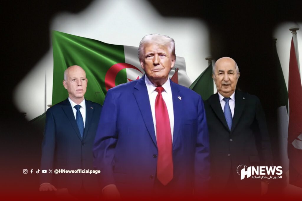 تبون وقيس | H-NEWS آش نيوز تبون وقيس