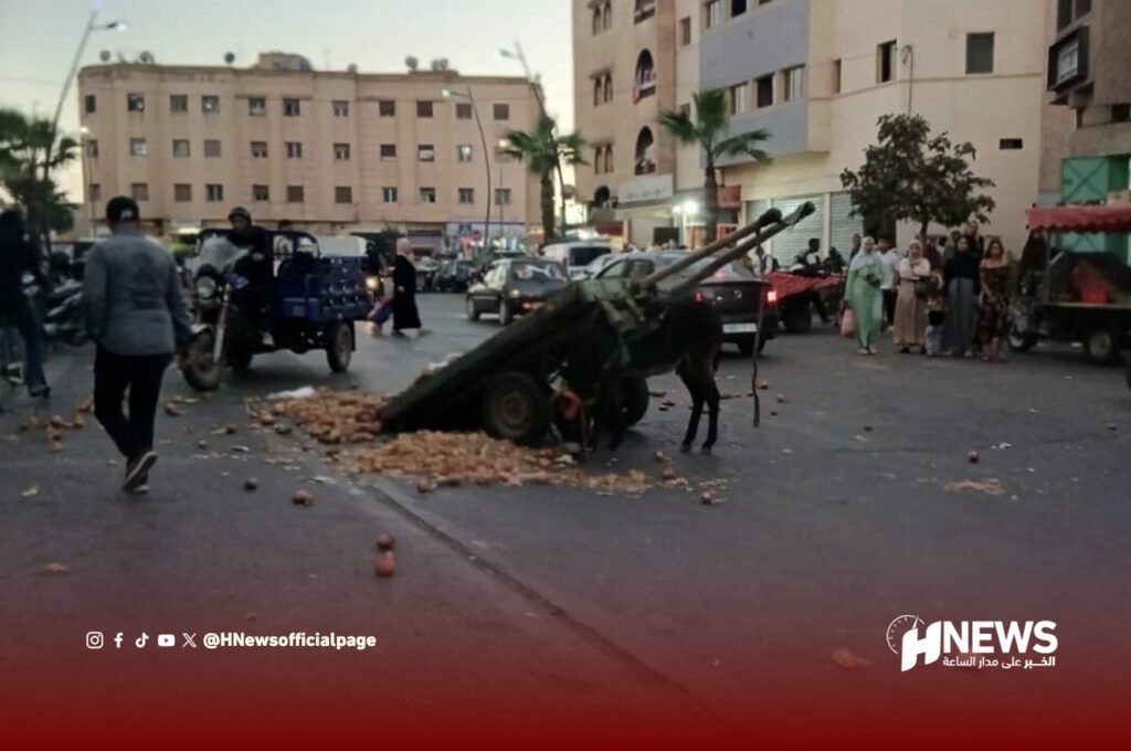 تحرير الملك العام