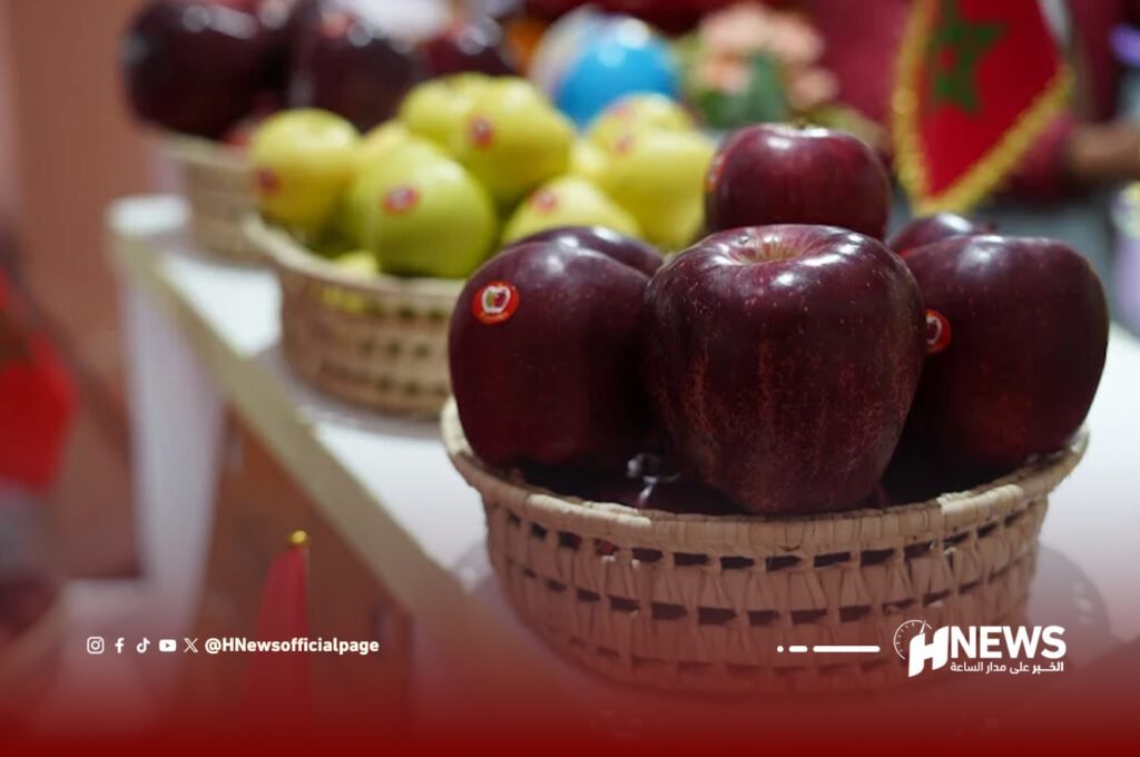 المغرب يقترب من رقم قياسي في إنتاج التفاح