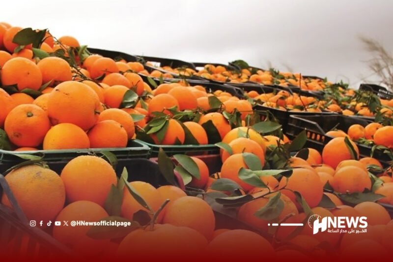 انتاج الحوامض