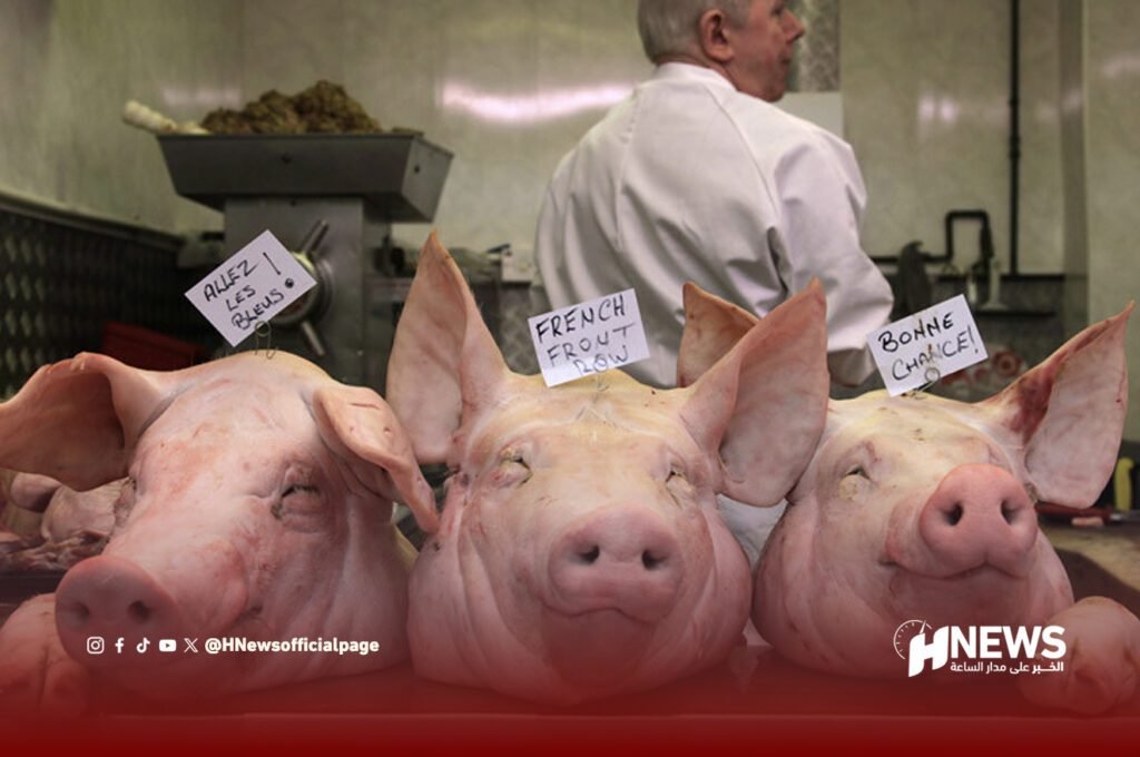 سبتة المحتلة.. حظر لحم الخنزير بالمدارس العمومية