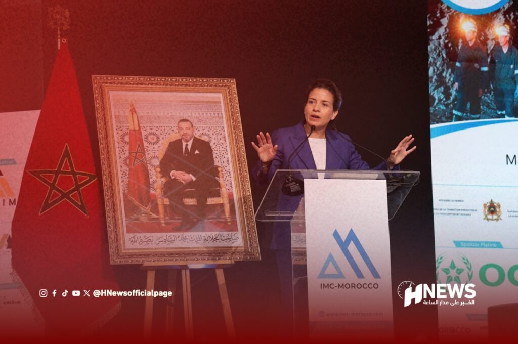 بنعلي تبرز أهمية المعادن الاستراتيجية في الاقتصاد العالمي