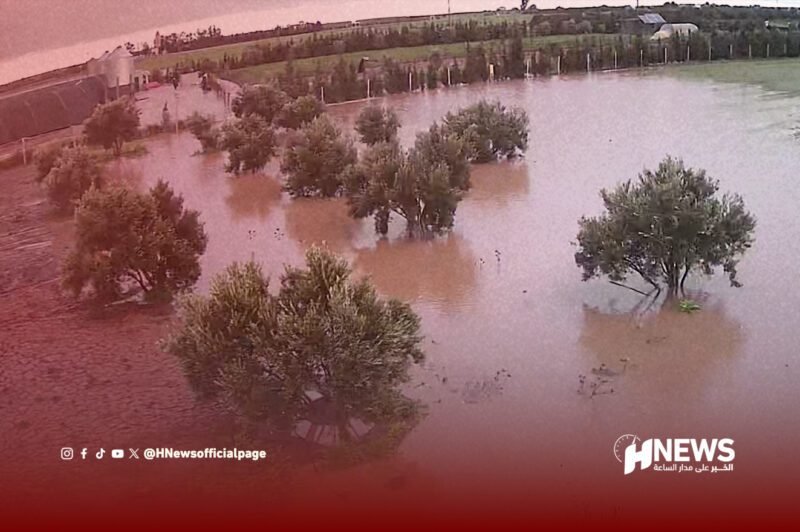 اتهامات لرجل أعمال - H-NEWS