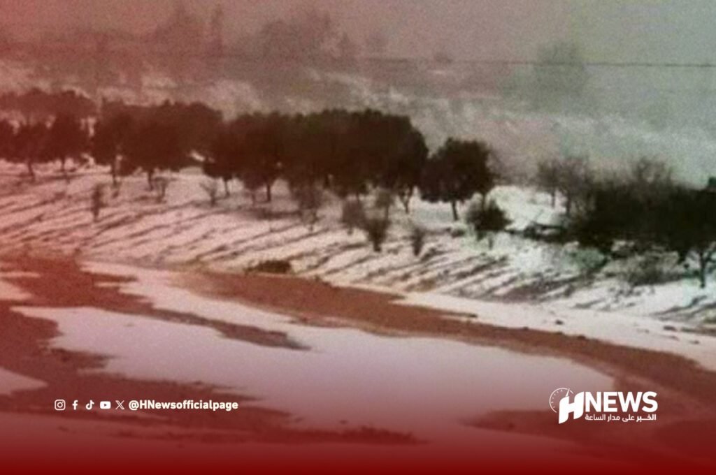 الجديدة.. خسائر فلاحية كبيرة بسبب التساقطات المطرية الأخيرة