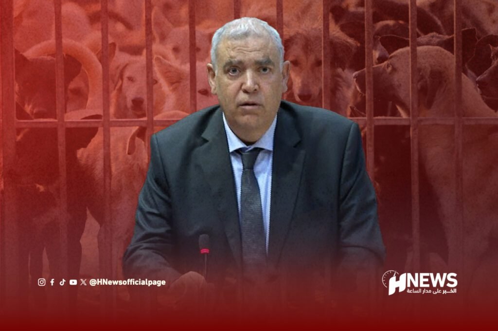 لفتيت: وفيات السعار تتصاعد والكلاب الضالة خطر صحي وطني