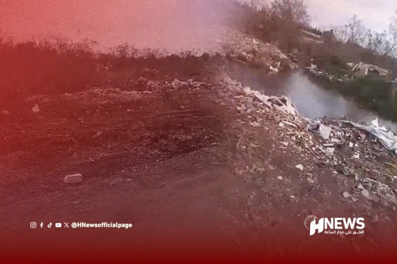 مستنقعات صابينو - H-NEWS