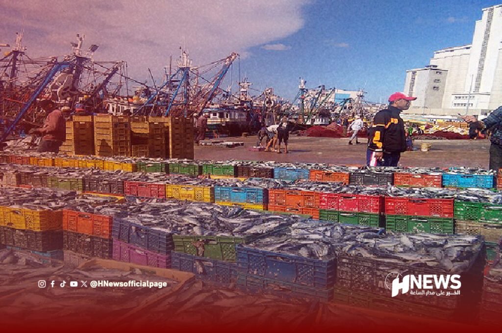 مشاريع جديدة لتعزيز الاقتصاد الأزرق بالصويرة وآسفي