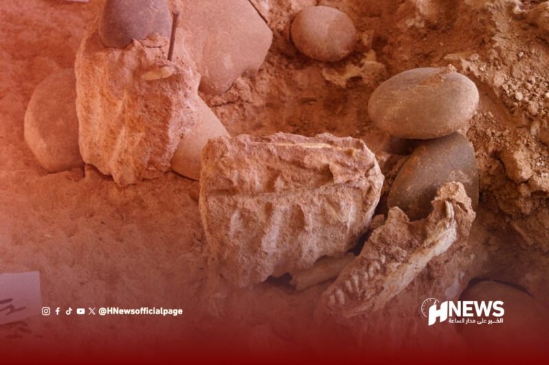 بقايا عظام بشرية - H-NEWS