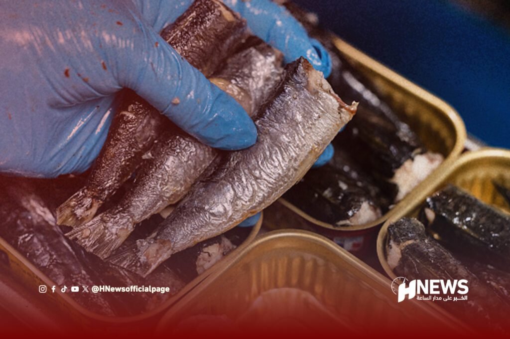 قرار مغربي يثير قلق مصنعي تعليب السردين بإسبانيا