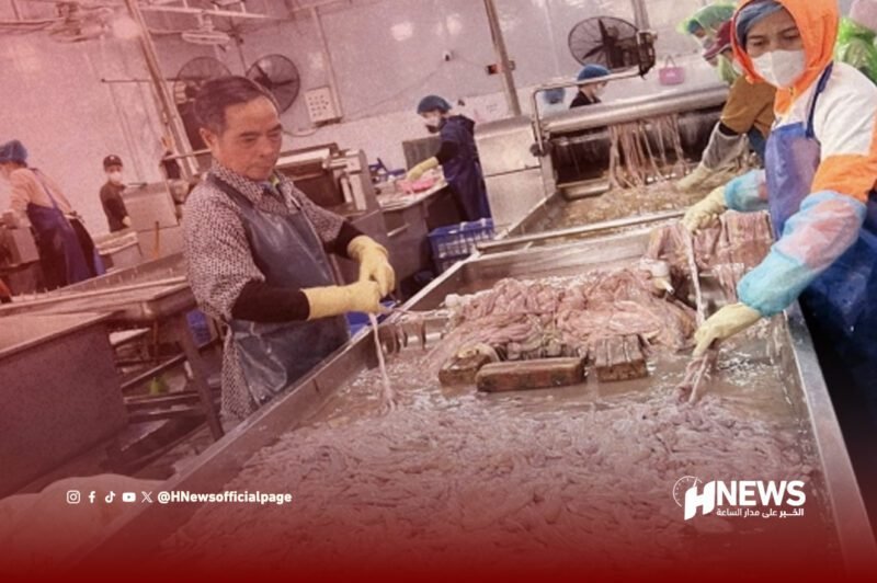 شحنة أمعاء الخنازير.. بين التصنيع والجدل المجتمعي