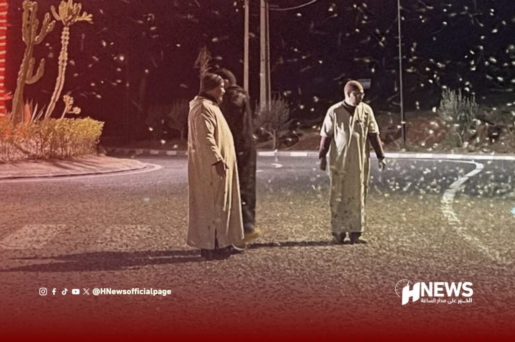 أسراب الجراد تصل أكادير بعد اجتياح الجنوب