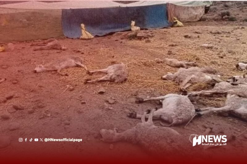 دعوات لإعفاء فلاحي الفيضانات من رسوم الأسواق