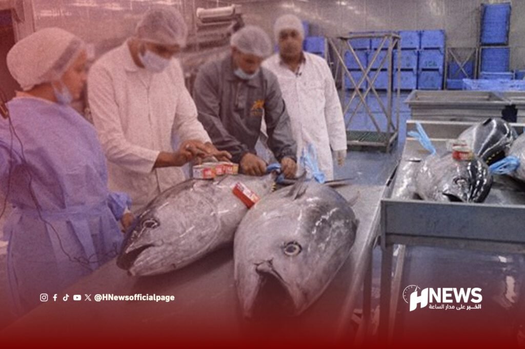 أكبر مصنع لتحويل التونة يدخل الخدمة بالبيضاء