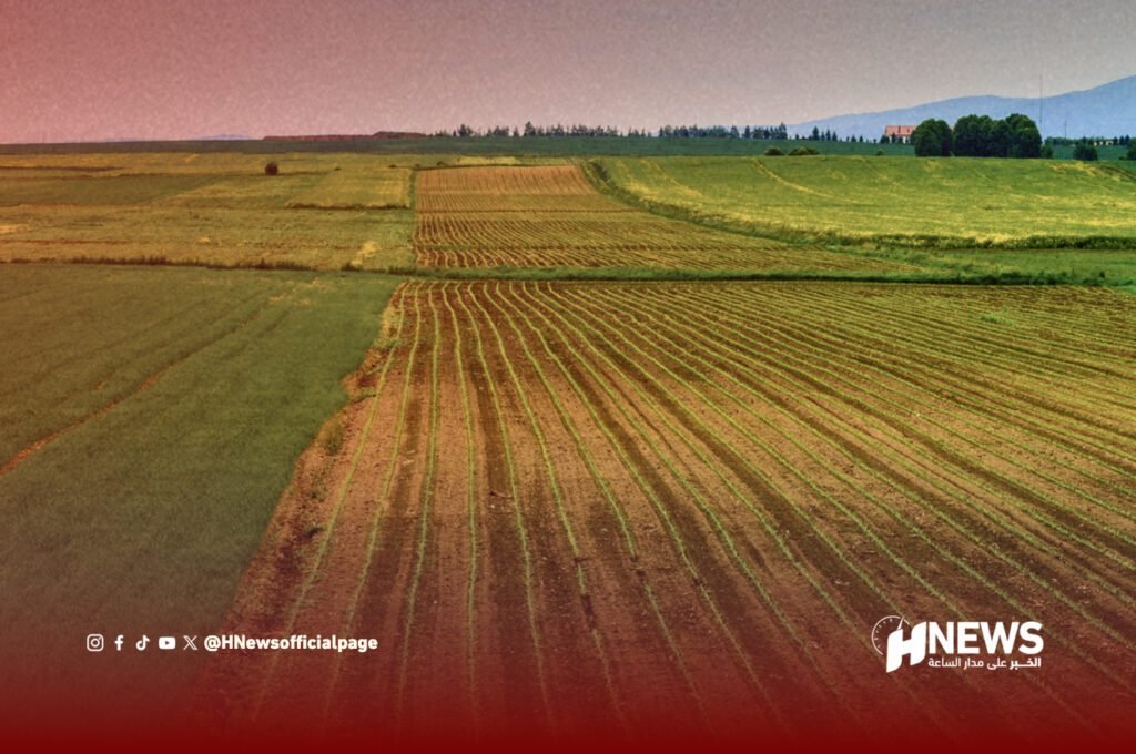 تساقطات مارس تنعش الفلاحة بجهة البيضاء سطات