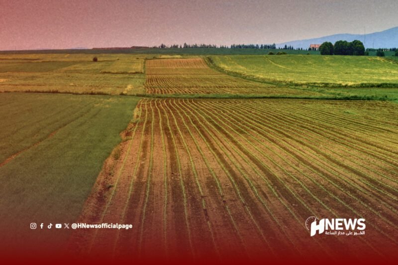 الأراضي الزراعية