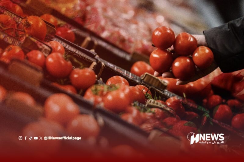 الطماطم المغربية