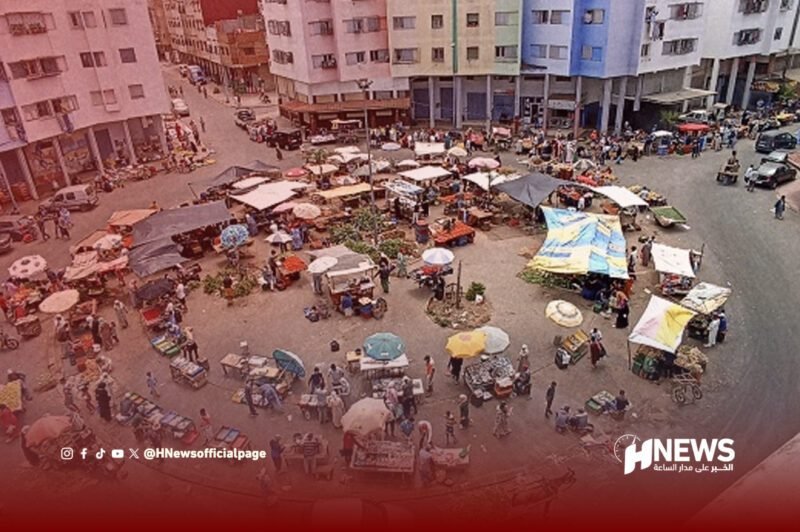 الملك العام