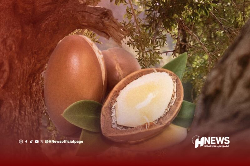 شجرة الأركان