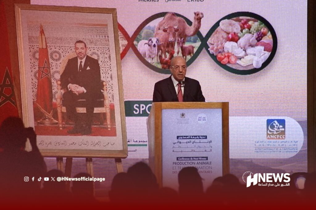 البواري: الإنتاج الحيواني في الصدارة.. وانتعاش مرتقب للحبوب والفلاحة