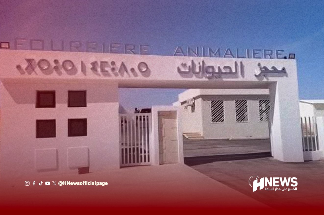 ملجأ الكلاب