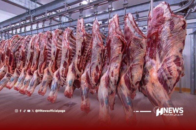 الحكومة تصادق على تعليق رسوم استيراد الأغنام واللحوم الحمراء