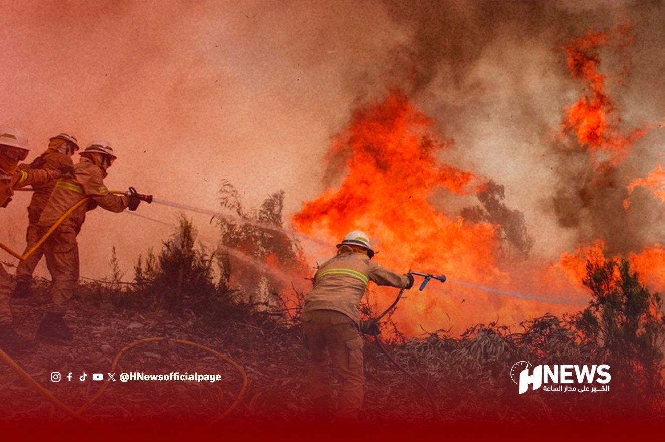 Firefighters in protective gear spray a hose at a raging brush fire amid smoke and bright orange flames.