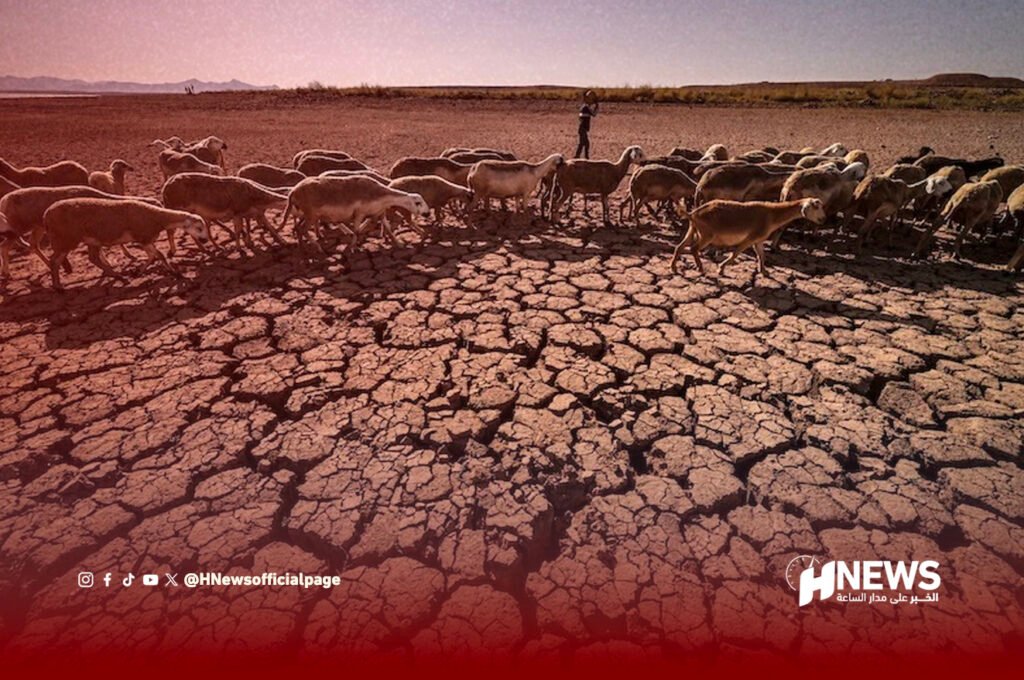 التصحر بالمغرب | H-NEWS آش نيوز Shepherd guiding a large flock of sheep across cracked, dry desert soil under a dusky sky, with a red overlay and HNEWS logo in the corner.