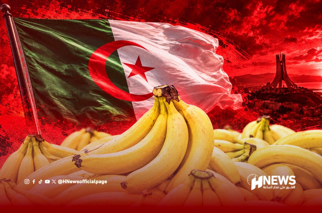 20 دولارا للكيلوغرام.. الموز يتحول إلى فاكهة باهظة في الجزائر