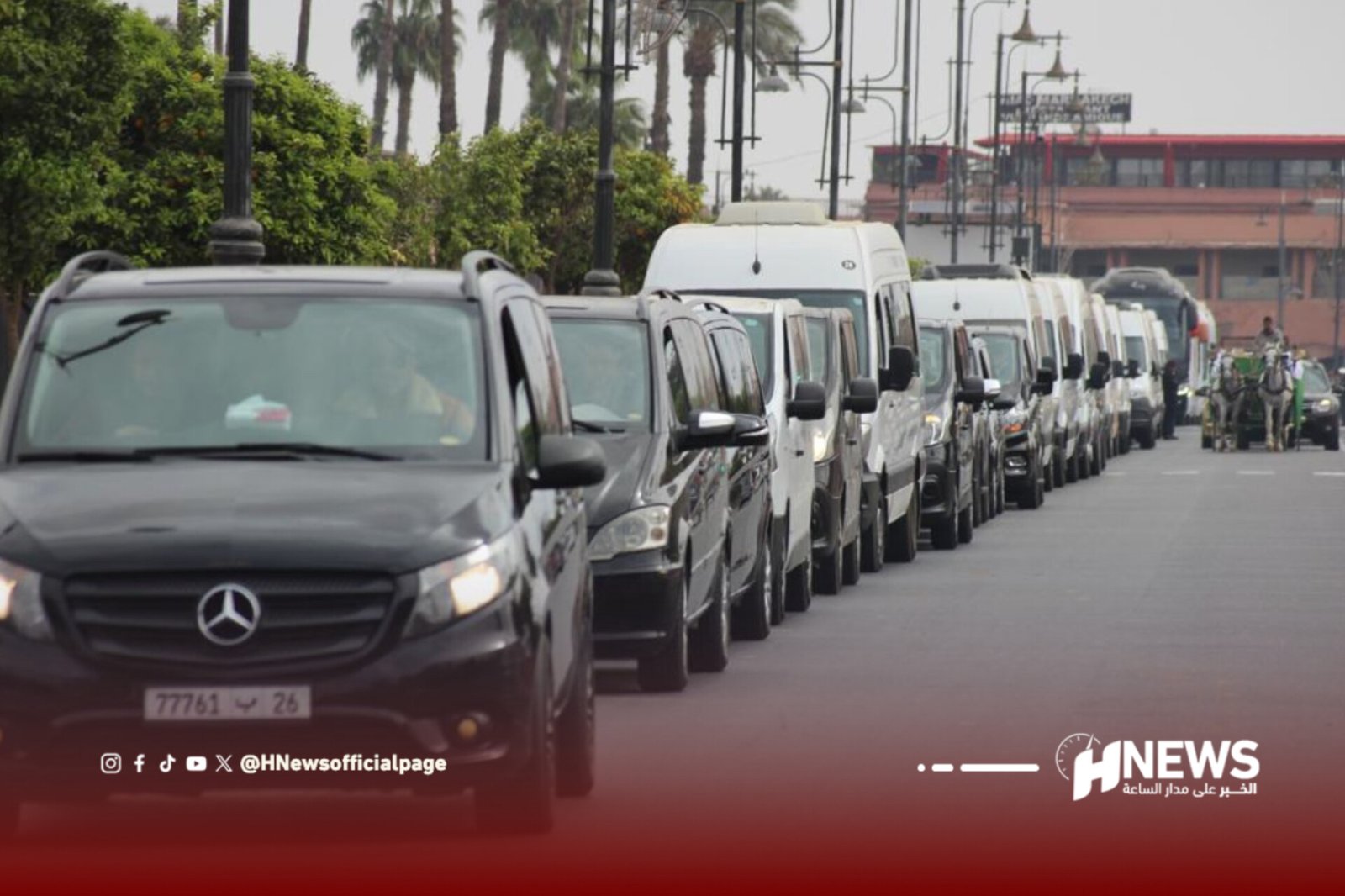 Queue of numerous vehicles, mainly white vans and dark cars, lined up bumper to bumper on a city street with palm trees and street lamps in the background.